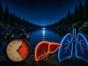 Budíte se každou noc mezi 1:00 a 5:00? Vaše játra a plíce právě vysílají SOS signál